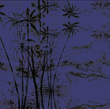 Lagoss // Tenerife Ghost Healing Mix '78 TAPE