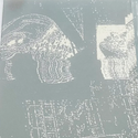 Remnant / Elisha Morningstar split TAPE