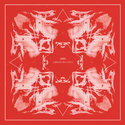 Sees (Michael J. Blood) // Ampersand Curve LP