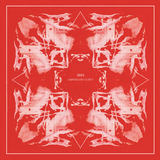 Sees (Michael J. Blood) // Ampersand Curve LP