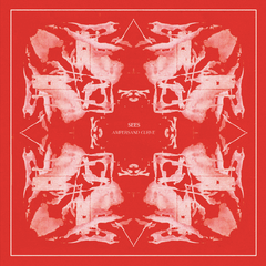 Sees (Michael J. Blood) // Ampersand Curve LP