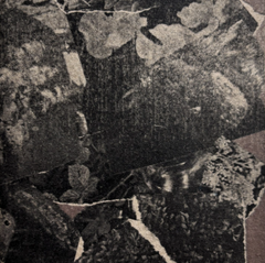 Delphine Dora // Multitudes I & II 2xTAPE