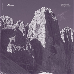 Notzing // Vermiström 12inch