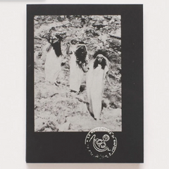 Le Nemesiache: Reclaiming Mythological Rituals ART BOOK