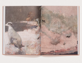 Edi Hila ART BOOK