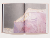 Edi Hila ART BOOK