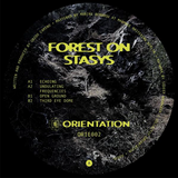 Forest On Stasys // Third Eye Dome 12inch