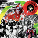 Various Artists (Buried Treasure) // Vibrations From The Motherland LP