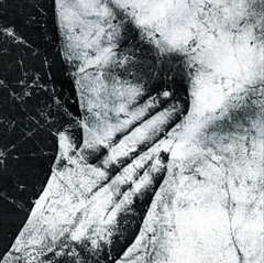 Mot // Victim CD