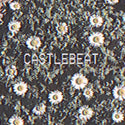 CASTLEBEAT // CASTLEBEAT LP