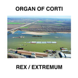 Organ Of Corti // Rex / Extremum 7inch