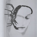 Tortoise // Touch LP
