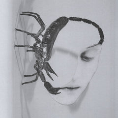 Tortoise // Touch LP