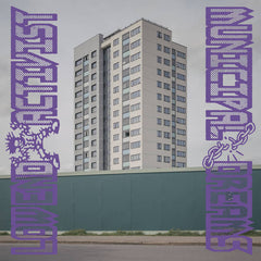 Low End Activist // Municipal Dreams 2x12inch / TAPE