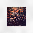Federico Durand // Té De Flores Silvestres LP [COLOR]