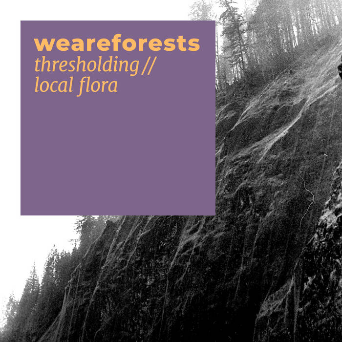 weareforests // thresholding // local flora TAPE