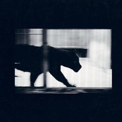 Nørbak // Verdade Absoluta EP 12inch