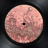 Gesloten Cirkel // Acid Puke 12inch