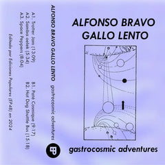 Alfonso Bravo Gallo Lento // Gastrocosmic Adventures TAPE