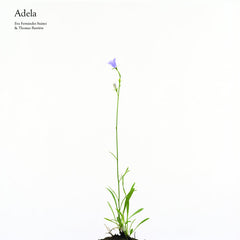 Eva Fernández Suárez & Thomas Barrière // Adela LP