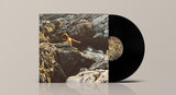 Manja Ristić // Sargassum aeterna LP
