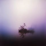 Various Artist (Special Species Records) // to breathe again... LP [COLOR]