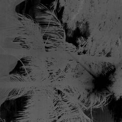 AGORA s/t TAPE