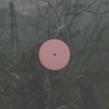 Alien D // For the Early Hours of a World in Bloom LP