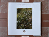 Jeremiah Chiu & Marta Sofia Honer // Recordings from the Åland Islands (IA11 Edition) LP