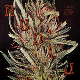 Rudi J // I guess I'm not in tune after all LP