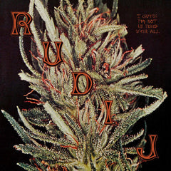 Rudi J // I guess I'm not in tune after all LP