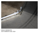 USUAL MOMENTS // NOT AMBIENT 2022-2024 LP