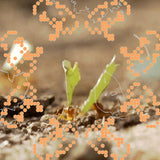 andrew cs // ᵒ˶°´ TAPE