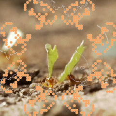 andrew cs // ᵒ˶°´ TAPE