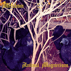 Merzbow // Animal Magnetism 2xLP