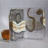 Asifeh // Tasalul TAPE