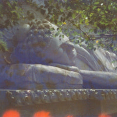 大泊VENV // Augmented Sleep TAPE