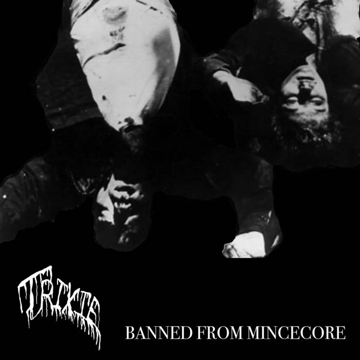 Mincecore Trixie // BANNED FROM MINCECORE TAPE – Tobira Records