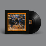 Batu // Question Mark 12inch