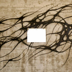 Beau Mahadev // Subterra LP