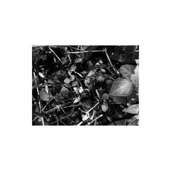 Ilia Belorukov // Beyond The Lower Hovels TAPE