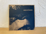 Aaron Oppenheim // Volvox / Fringe Benefit 7" LATHE CUT