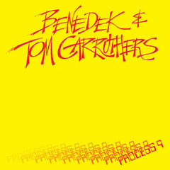 Benedek & Tom Carruthers // Process 9 LP