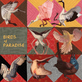 Thomas Dollbaum // Birds of ParadiseLP