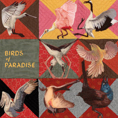 Thomas Dollbaum // Birds of ParadiseLP