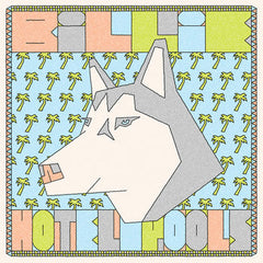 Hotel Pools // BiLLiE LP [COLOR]