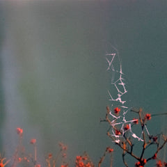 Jon Dale // Last Blues CD