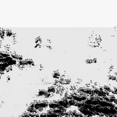 Bot1500 // The Black Sea LP