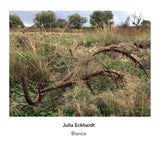 Julia Eckhardt // Blanca CD