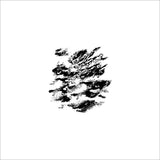 Borgesian Term // False 06 12inch